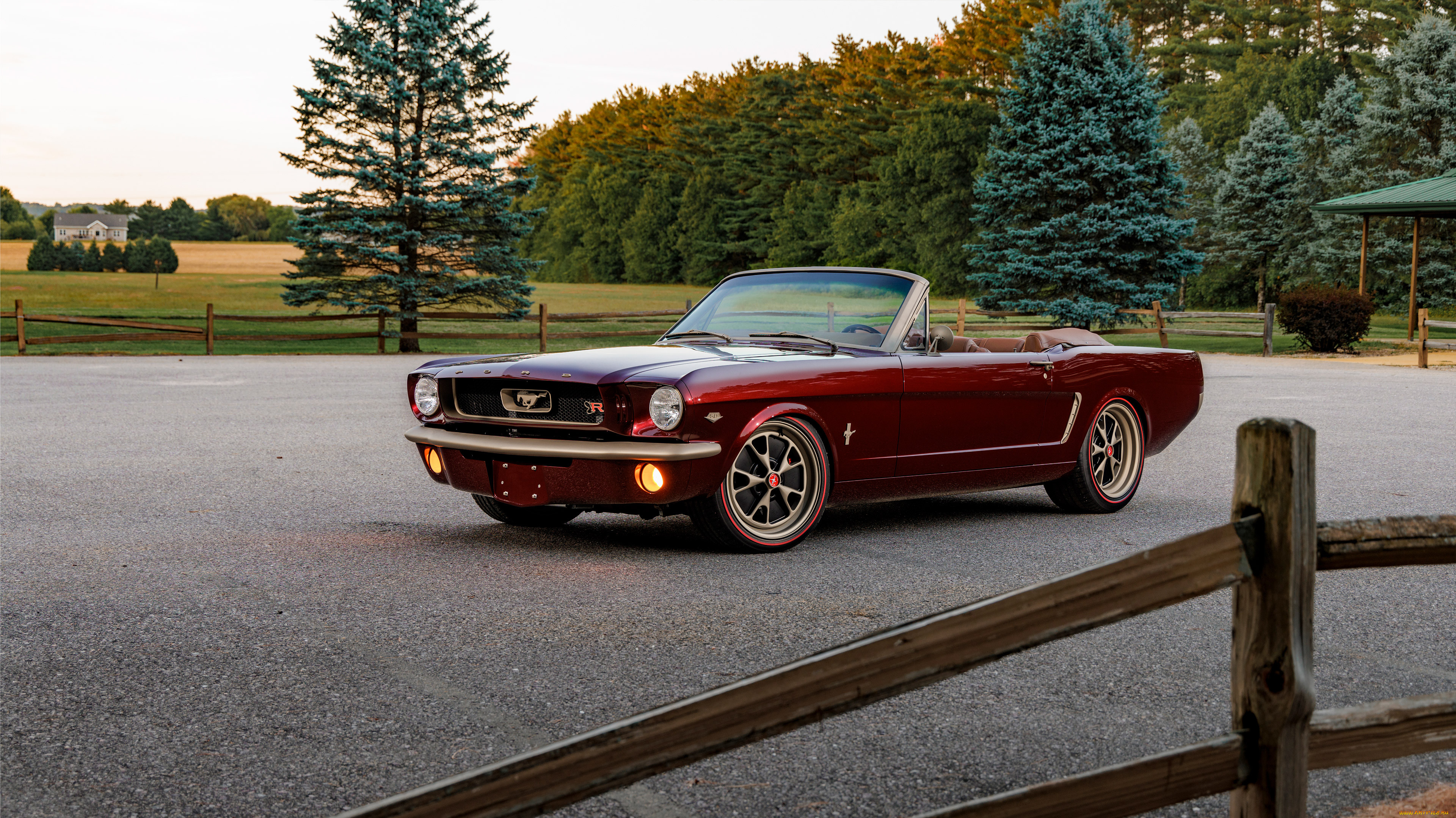 , ford, mustang, convertible, uncaged, ringbrothers, sema, show, 1965